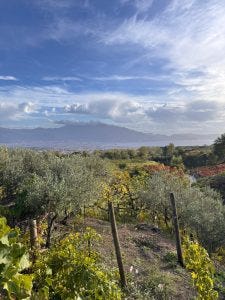 La Catalanesca. Un pezzo di Spagna ai piedi del Vesuvio