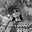 Rose Adele's avatar