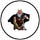 User's avatar