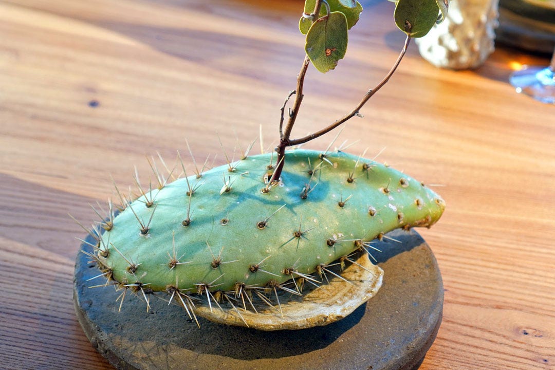 Cactus with mezcal (Lidded)