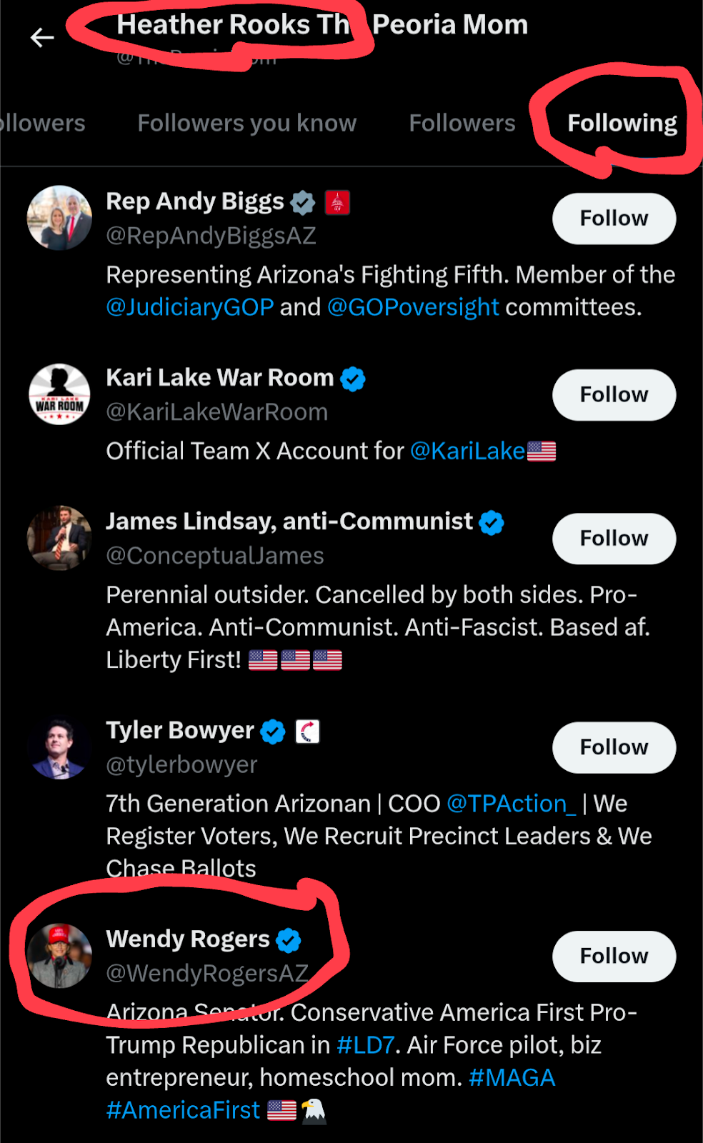 A screenshot of a Twitter "Following" list belonging to "Heather Rooks The Peoria Mom." A red oval highlights the "Following" tab at the top. The list displays several accounts that Heather Rooks is following. Visible accounts include:  Rep Andy Biggs (@RepAndyBiggsAZ): "Representing Arizona's Fighting Fifth. Member of the @JudiciaryGOP and @GOPoversight committees."  Kari Lake War Room (@KariLakeWarRoom): "Official Team X Account for @KariLake"  James Lindsay, anti-Communist (@ConceptualJames): "Perennial outsider. Cancelled by both sides. Pro-America. Anti-Communist. Anti-Fascist. Based af. Liberty First!"  Tyler Bowyer (@tylerbowyer): "7th Generation Arizonan | COO @TPAction_ | We Register Voters, We Recruit Precinct Leaders & We Chase Ballots"  Wendy Rogers (@WendyRogersAZ): "Arizona Senator. Conservative America First Pro-Trump Republican in #LD7. Air Force pilot, biz entrepreneur, homeschool mom. #MAGA #AmericaFirst" This entry is partially encircled by a red oval.