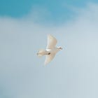 A Humane Future Before God