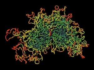 chromosomes encoded in the temple of jerusalem
