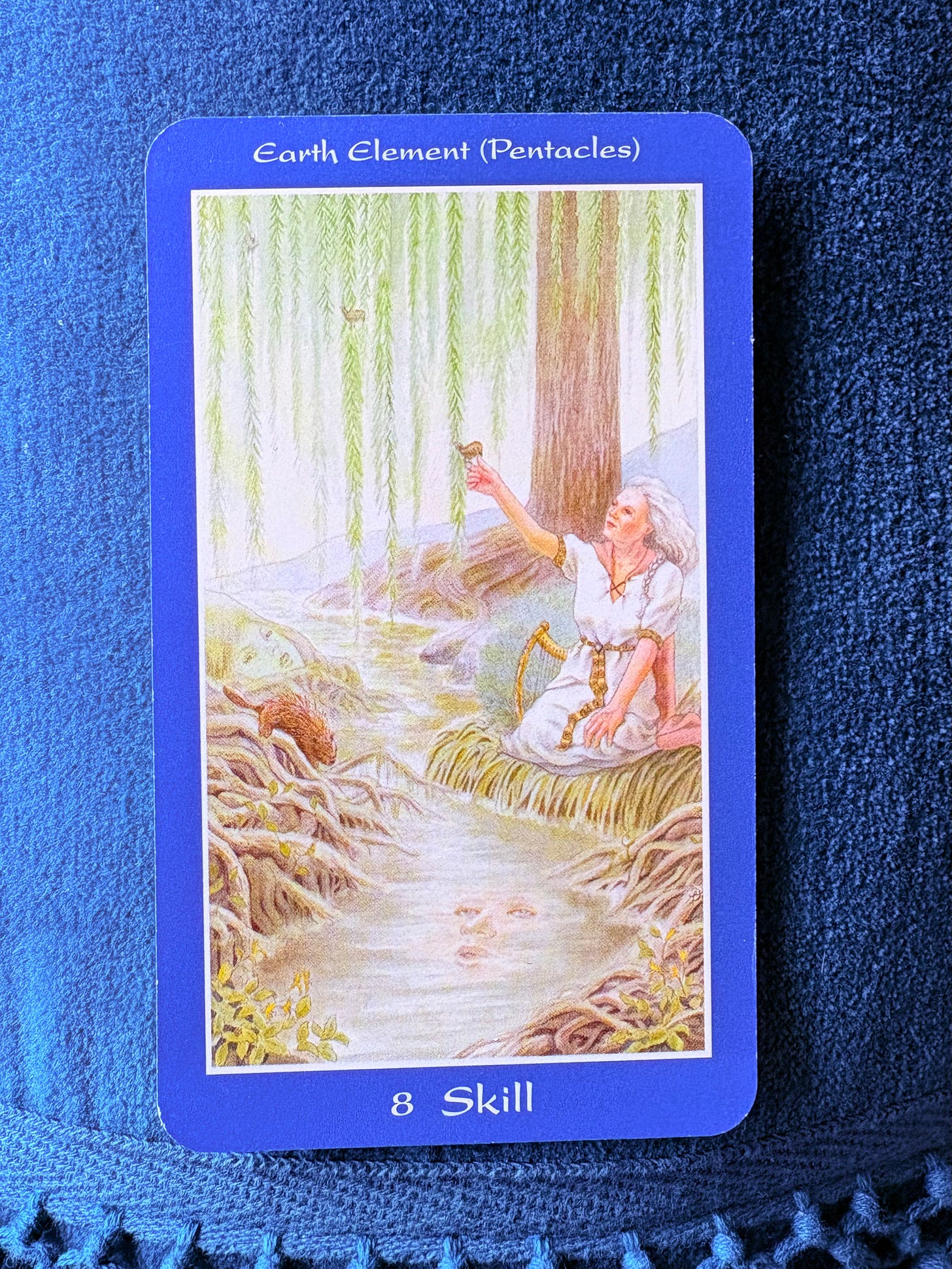 The eight of pentacles card on a blue cushion. The image on the card depicts a woman next to a stream with a face in it and a beaver on the shore. Willow trees with birds are in the background. 