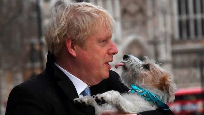 Boris Johnson authorised Afghanistan animal rescue Boris Johnson authorised Afghanistan animal rescue