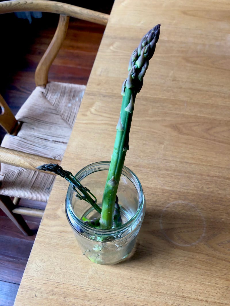Asparagus Early Spring 2022