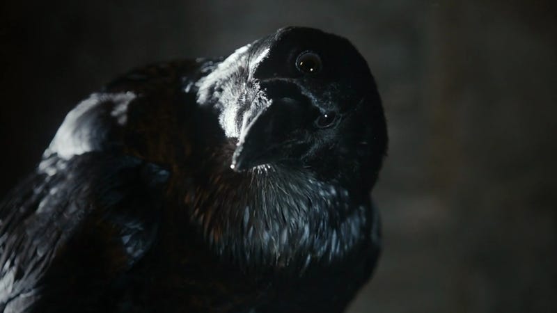 got-three-eyed-crow
