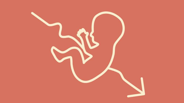dropping fertility rates