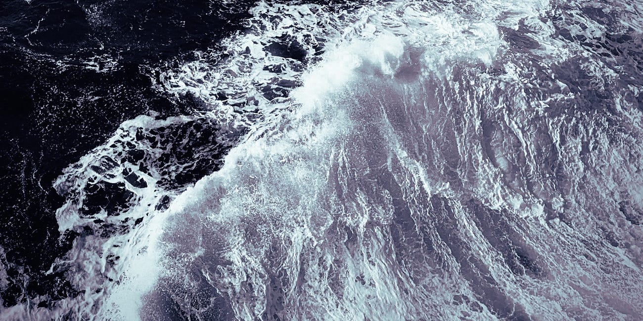 Nº80 All at sea with Swan...