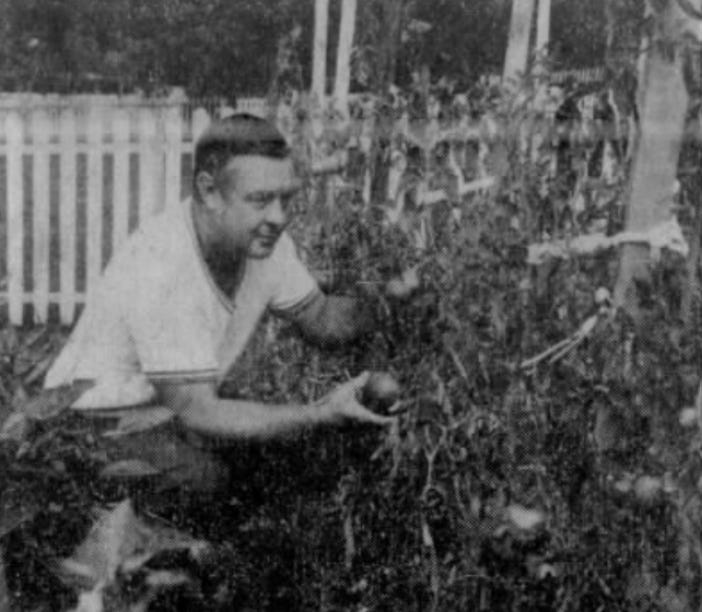 Earl Weaver kneels in front of his home garden in 1971.