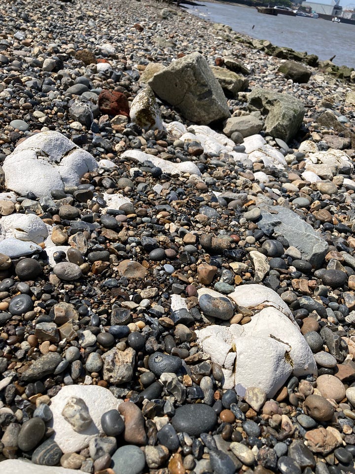 Man holding a canon ball, a shark's tooth and a typical mix of stones and pebbles on the banks of the river Thames