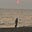 Des Bouteilles À la Mer's avatar