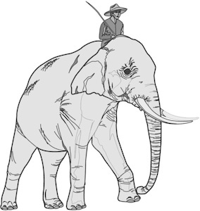Elephant+Rider