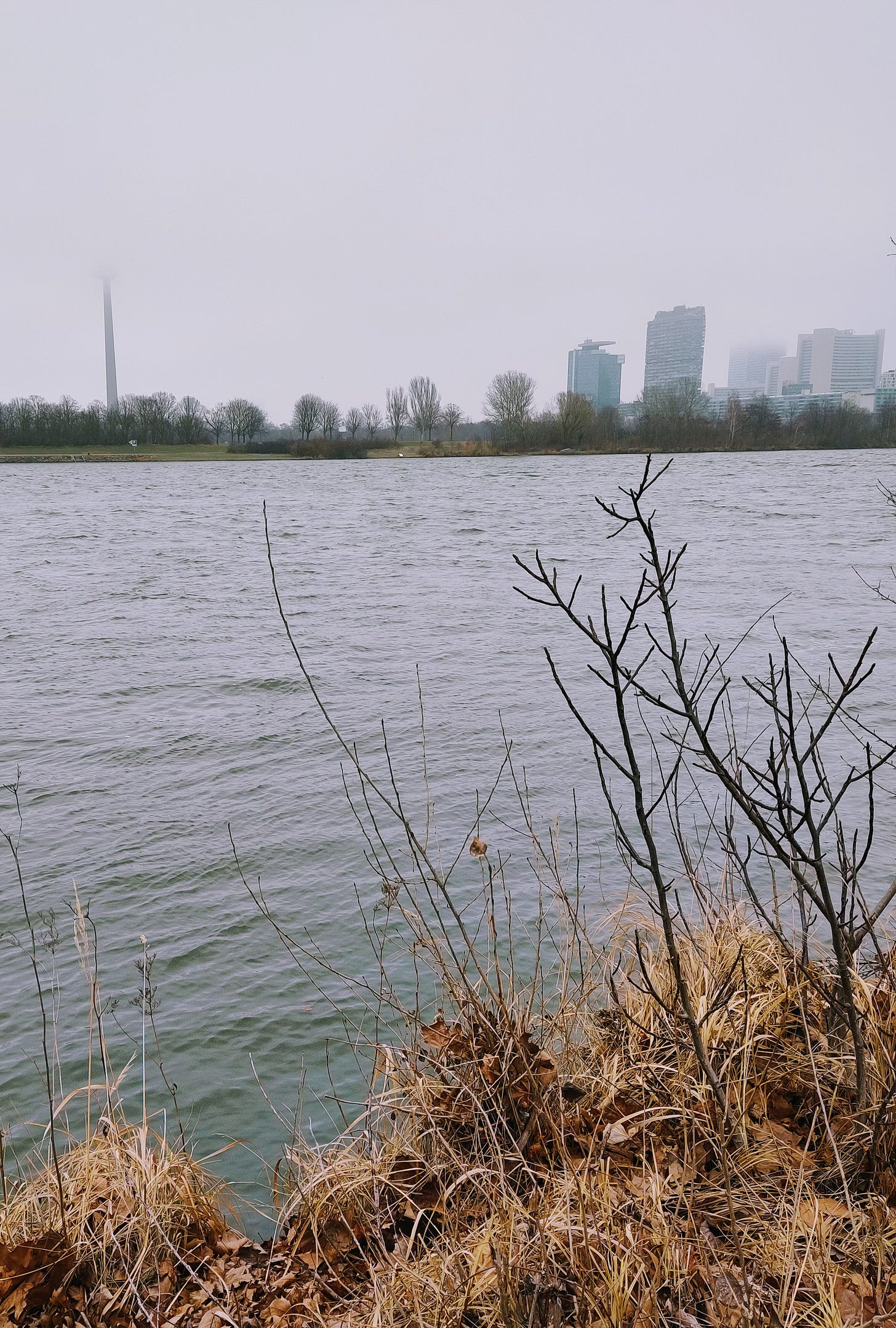 The photo is taken along the Danube. It is a gray day. The river is visible in the front and buildings are partly visible in the back, partly hidden by fog.