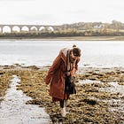 December's Wild Notes 🌲