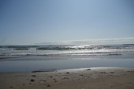 Sunny beach scene with gentle waves lapping the shore. Blue sky above and sand with scattered seaweed below. Serene and peaceful mood.