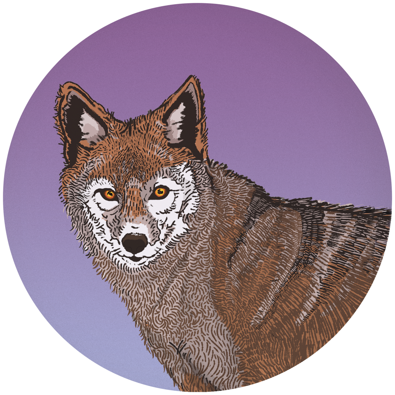 Dispatches from Colonialtown