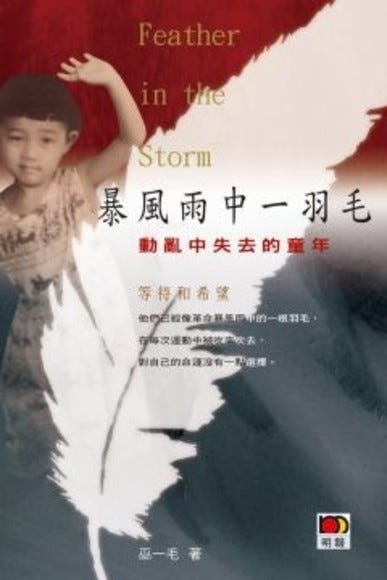 暴風雨中一羽毛 - 動亂中失去的童年