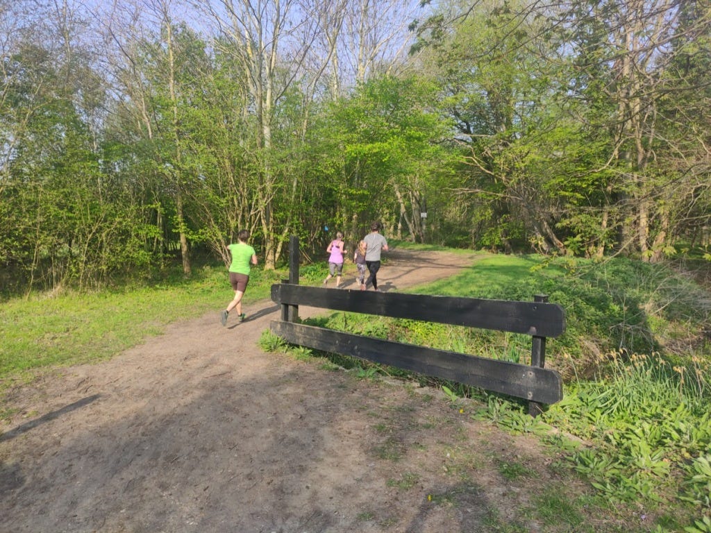 A wooden railing, painted black, marks a bridge over a stream, was the path continues over and then round a left corner ahead.