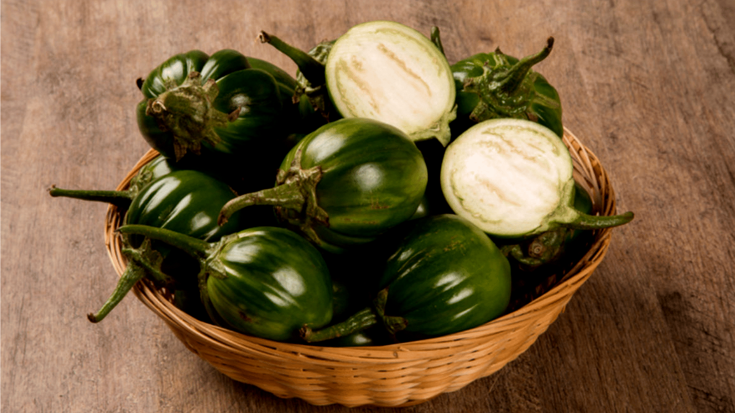 Benefícios do jiló para a saúde e como fazer um jiló gostoso - Boomi