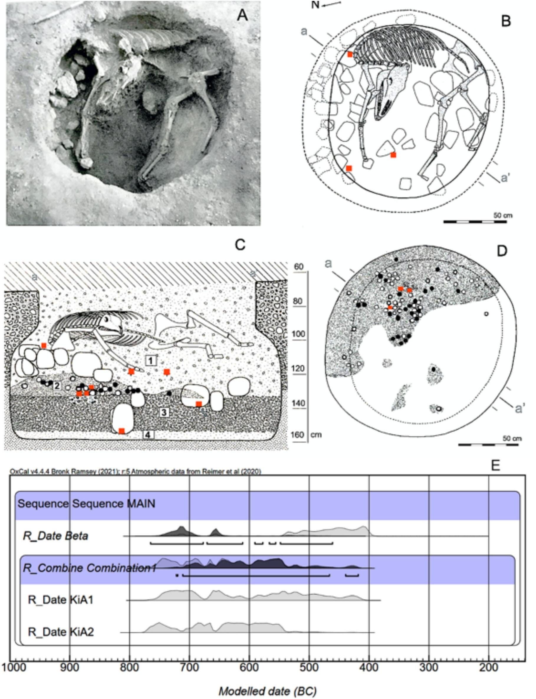 Jasrep Map A Hybrid Hoofprint: How an Early Iron Age Mule Redraws the Map of ...