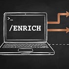 THE LEAD ENRICHER