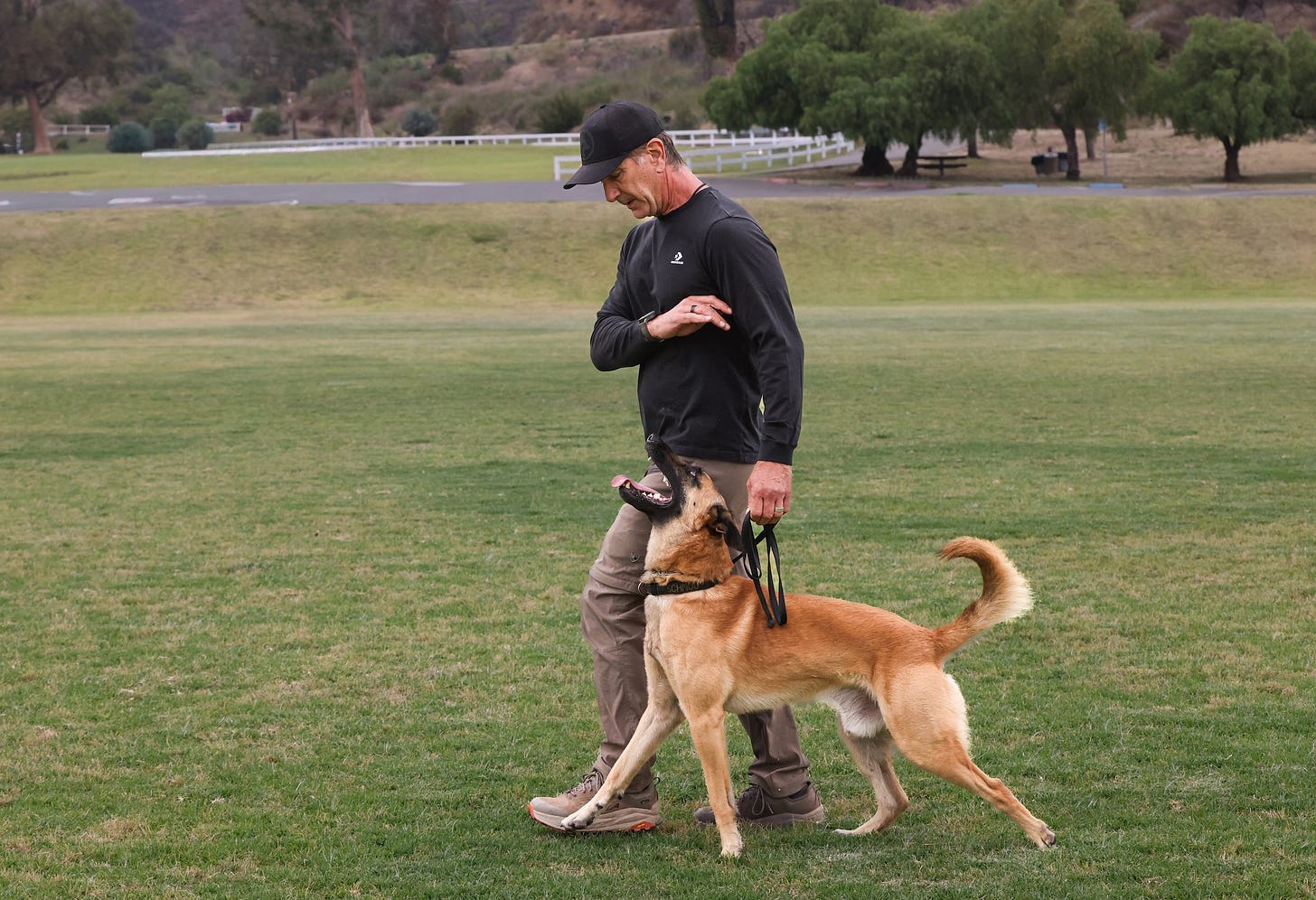 Robert Cabral walks outdoors with a tan dog on leash that is looking up at him.