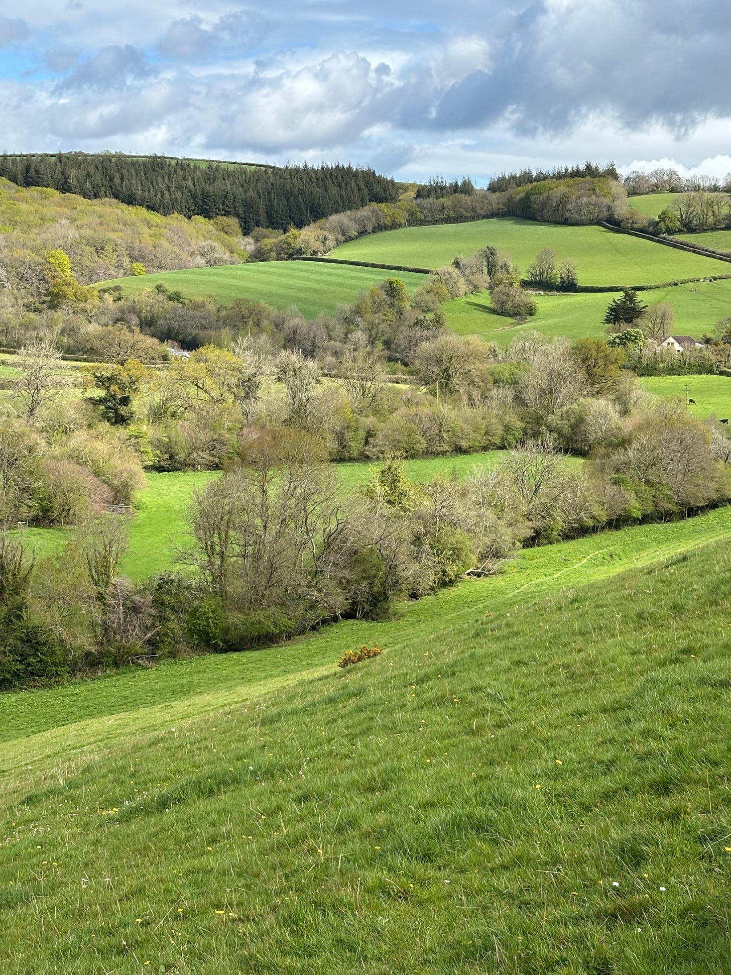 Rolling green Devon hills