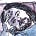 Avatar de Felipe Coutinho