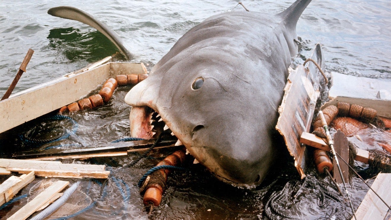 How 'Jaws' went viral in the 1970s - MarketWatch