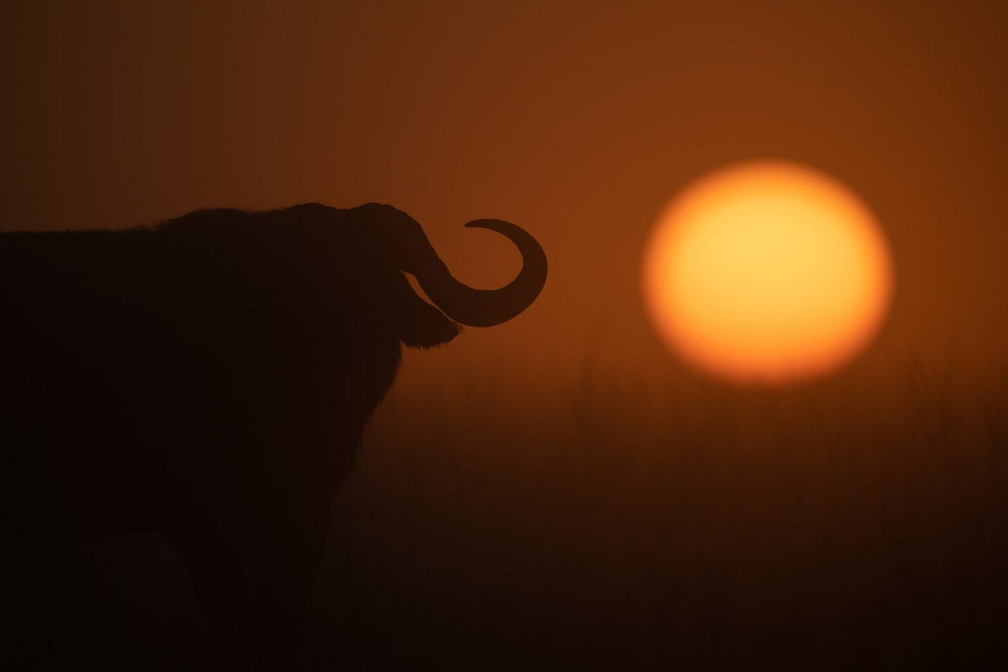 Horn of Africa