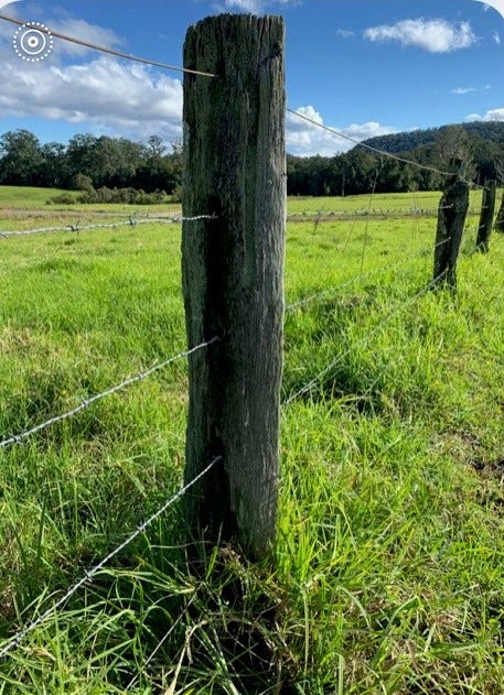 Farm fence posts Farm fence posts