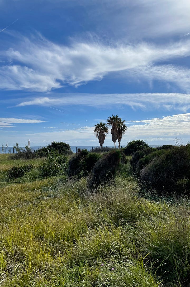 Best beach in Barcelona