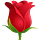 The Rose Diaries