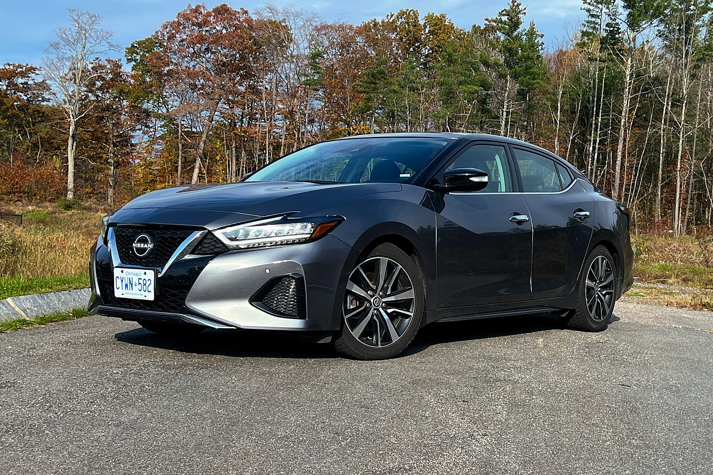 A gray Nissan Maxima parked on pavement with a forest in the background.