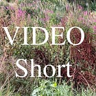 Collaborating with Substack Writers and a Short Story Submission