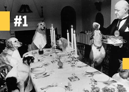 Pixels. Coins. People