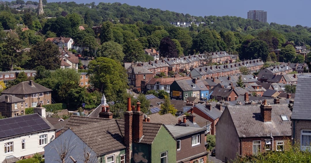 a city with lots of houses and a hill in the background