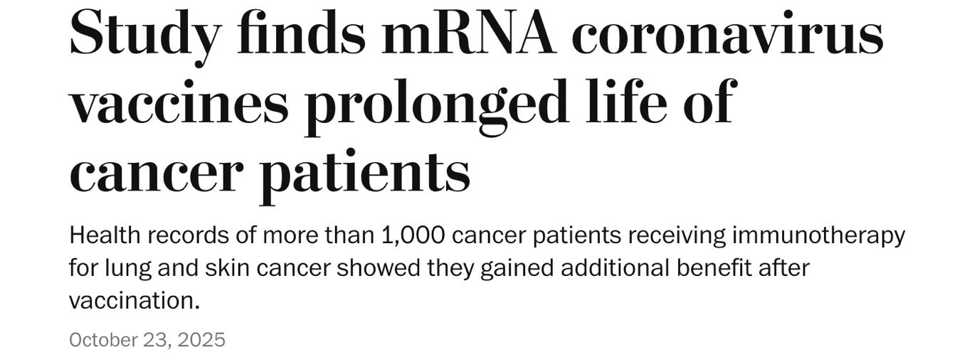 image 5.png image 5.png