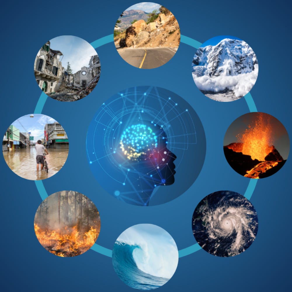 Substack profile picture for @disasters