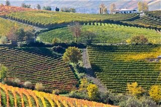 Awine – landscape 4 Awine – landscape 4