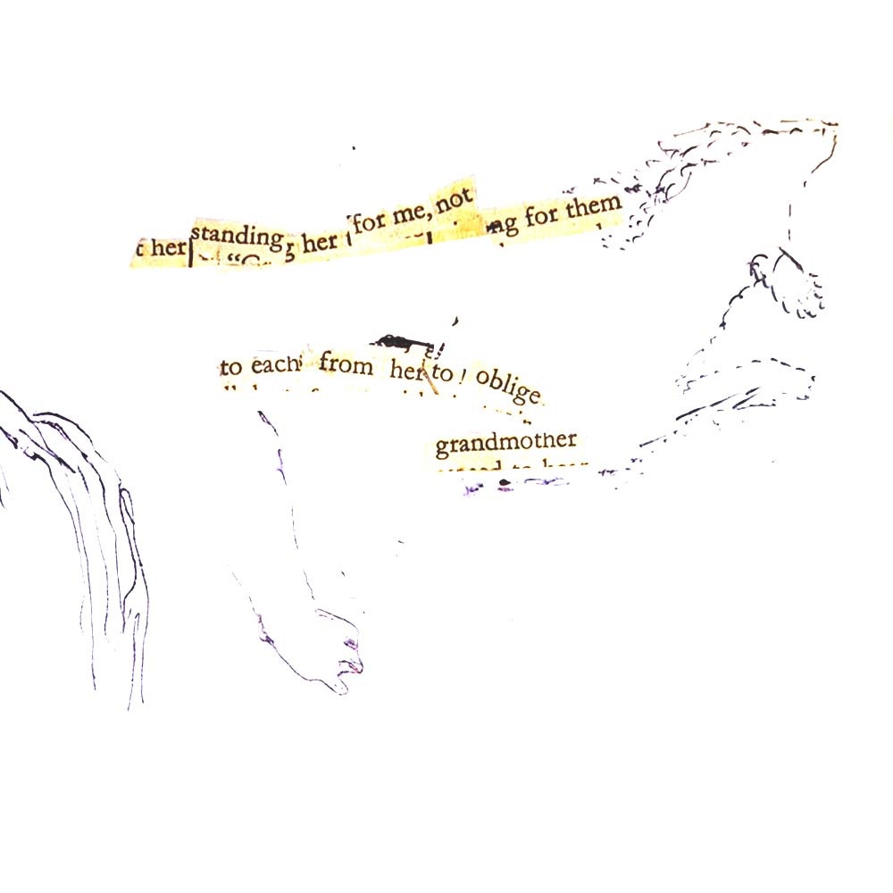 a drawing of an animal with words