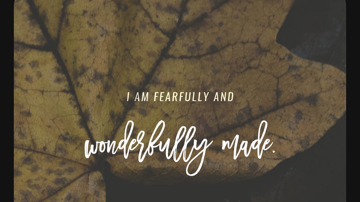 Letters to a New Believer #2: Imago Dei