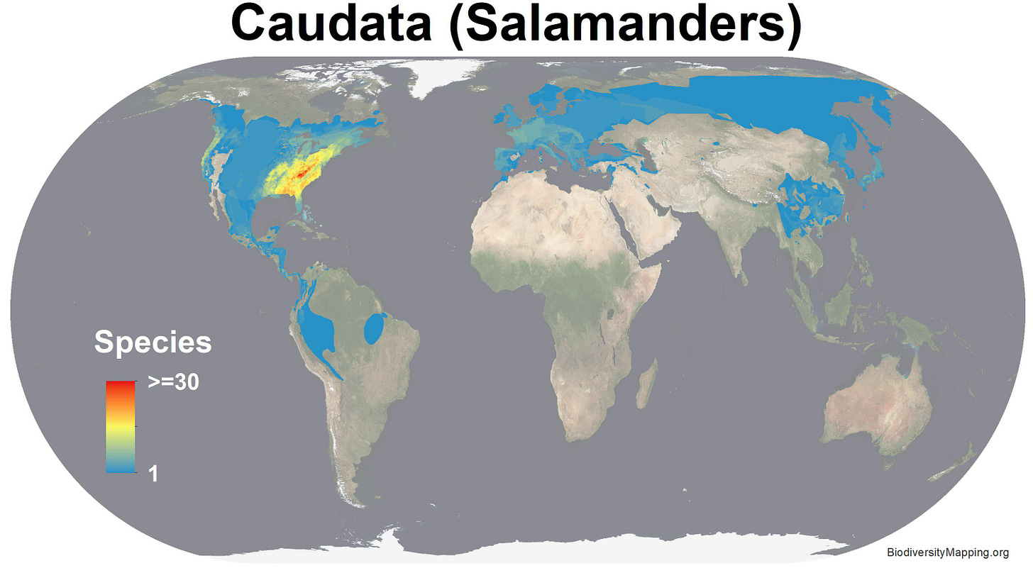 Map of global salamander diversity. The Smokey Mountains are known as the  salamander capital of the world. : r/MapPorn