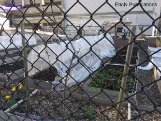 Community Garden
