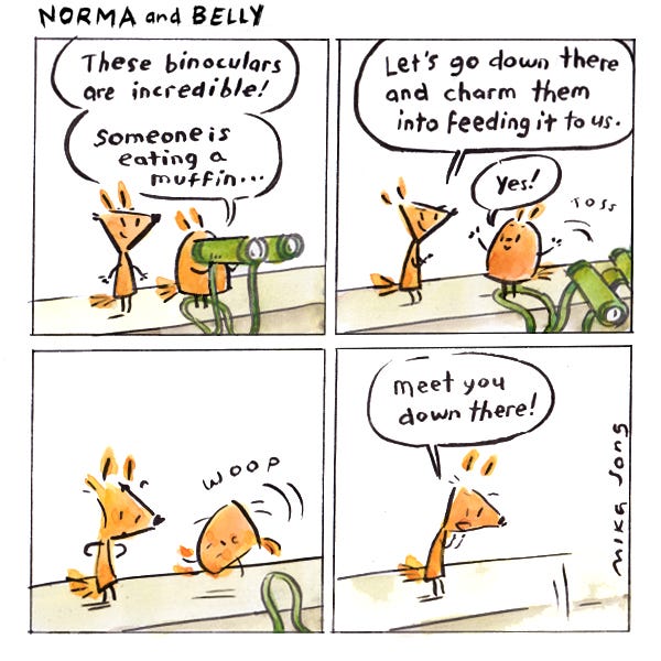 Norma and Belly. Belly the round squirrel tells Norma the pointy squirrel that the binoculars she is using are amazing and she sees someone eating a muffin. Norma says they should go down there and charm the person into feeding them. Belly says yes and tosses the binoculars over the wall. The binocular strap is behind Belly’s feet. Woop. Belly flips up and falls too. Norma screams, “Meet you down there!”