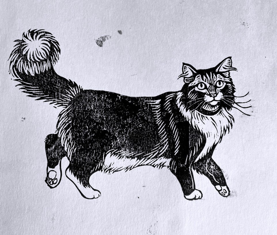 Block print cat