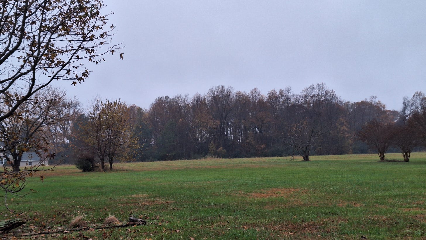 Wide, open grassy field bordered by autumn trees under a pale sky.