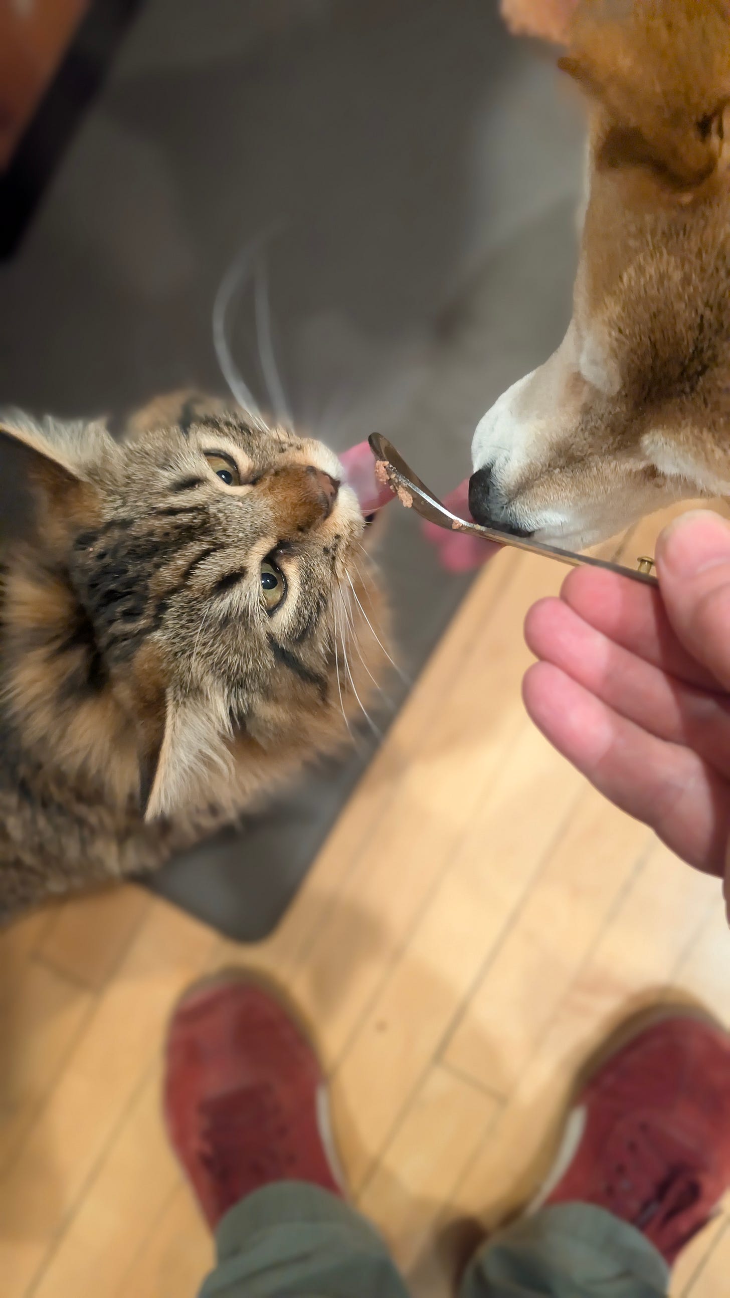 EarthStuff - Sharing...