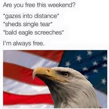 🇺🇸